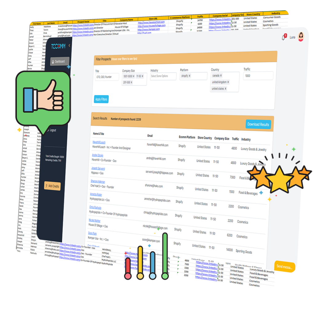 ecommerce decision makers